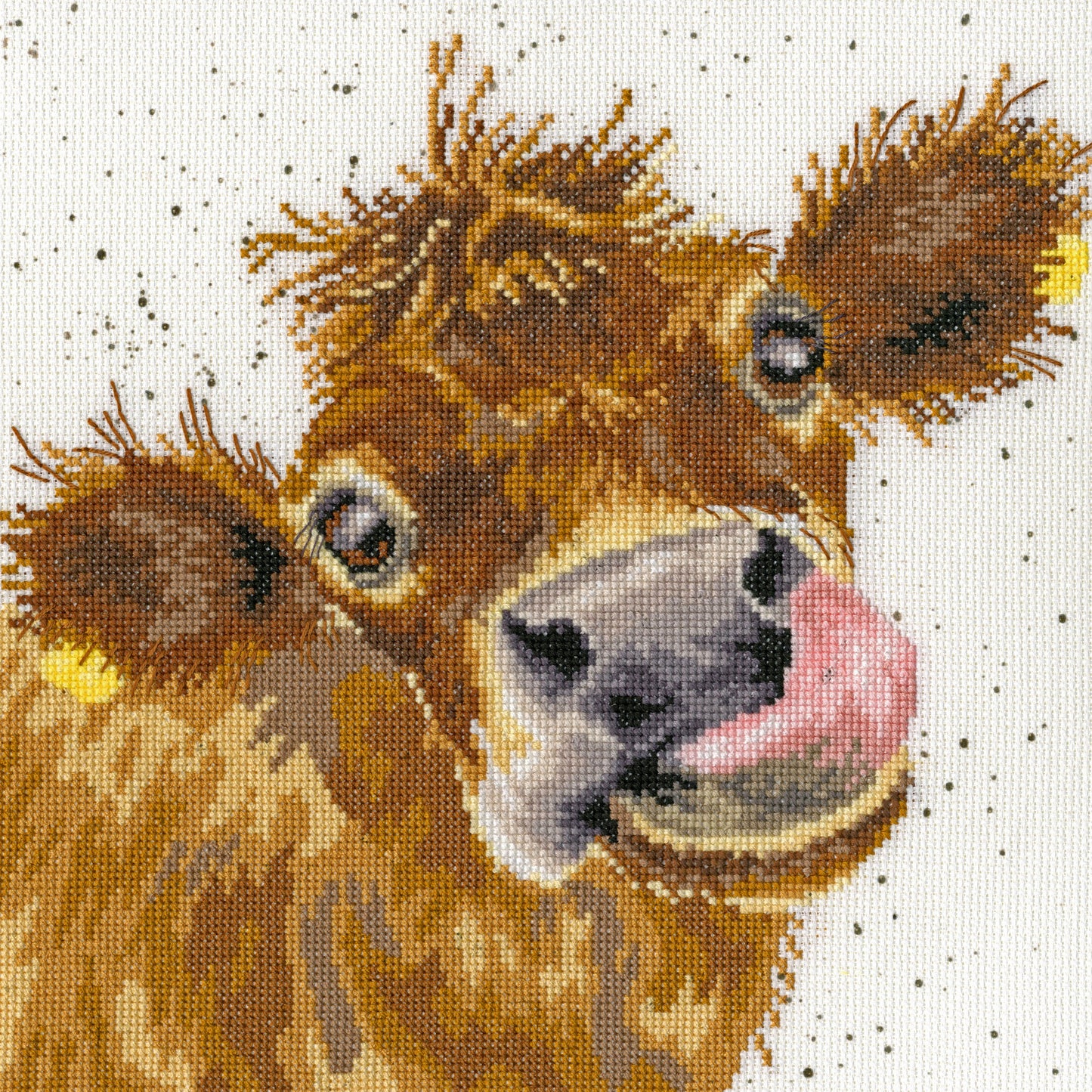 BOTHY THREADS - Moo