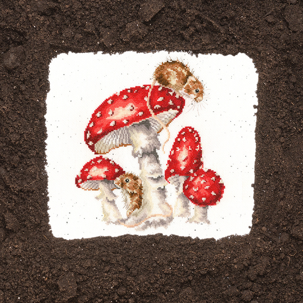 The Fairy Ring